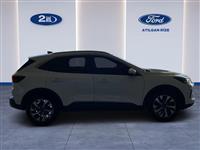 https://www.fordikinciel.com/B2ELResim/AracResim2El/117252/e5b37536-104e-4cfa-acdc-d8af47324f85_Kucuk.jpg