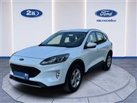 https://www.fordikinciel.com/B2ELResim/AracResim2El/146138/f174d248-7dd0-4535-a639-47efe7fb513f_Kucuk.jpg