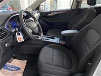 Ford İkinci El Araç Görseli